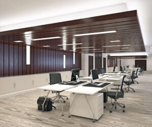 Customized Office in Noida 1