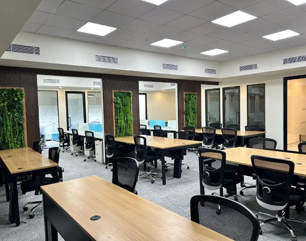 Enzyme-Offices-Citrine