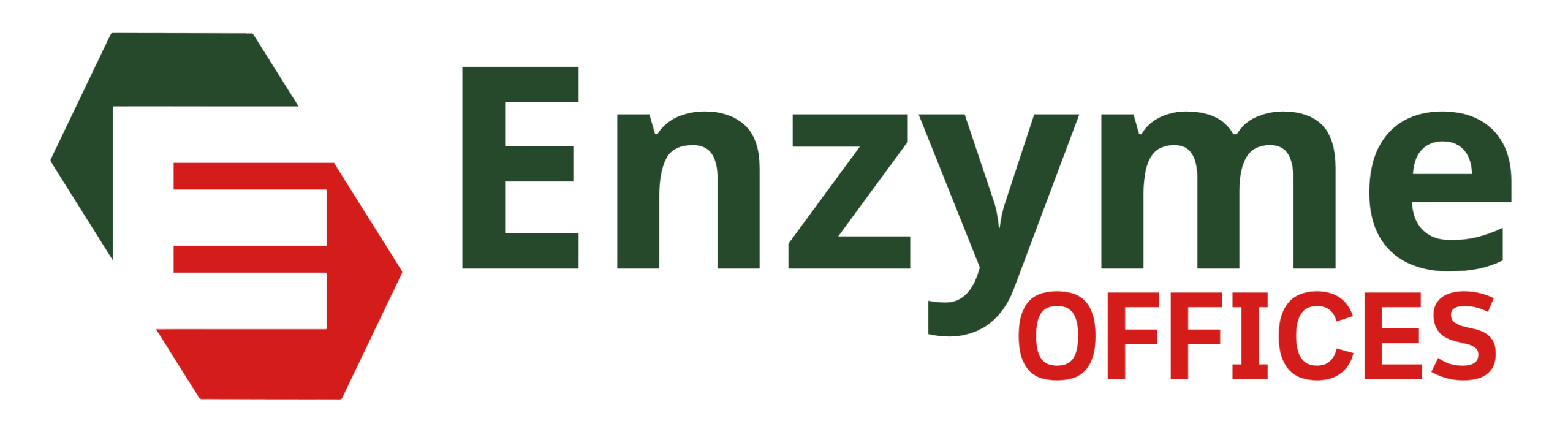 enyzme logo