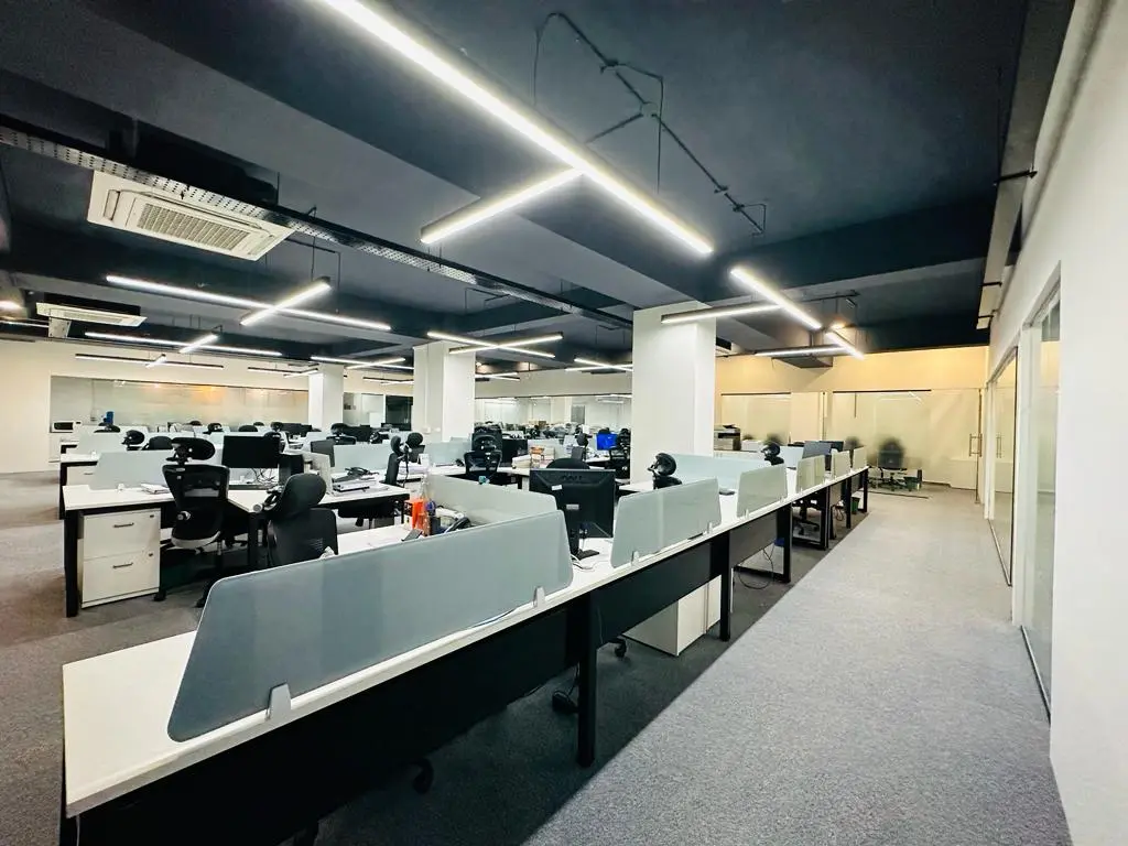 Enzyme office diamond